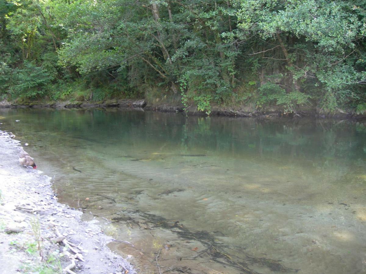 Appartement les rives de l’Ariège Luzenac Extérieur photo